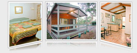 A Maze N Things Holiday Park - Tourism Canberra 5