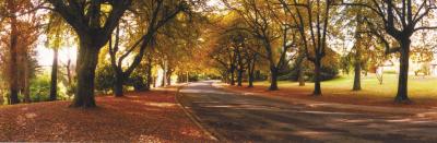 La Trobe At Beechworth - Tourism Canberra 0