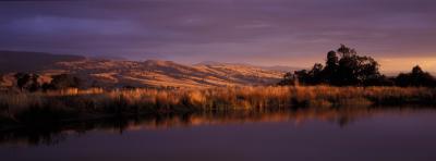 Wombat Hills Cottages - Tourism Canberra 3