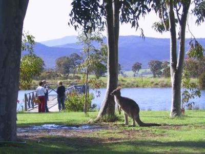 Wombat Hills Cottages - Tourism Canberra 4