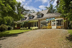 Curtis Falls Mountain Retreat - Tourism Canberra 0