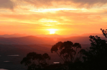 Avocado Sunset - Tourism Canberra