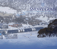 Snowy Gums Chalet - Tourism Canberra 0