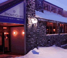 Snowy Gums Chalet - Tourism Canberra 2