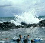 Bargara Beach Motor Inn - Tourism Canberra