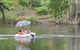 Bluegums Riverside Holiday Park - thumb 1
