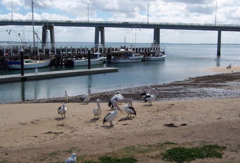 BIG4 Phillip Island Caravan Park - Tourism Canberra 5