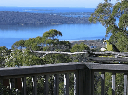 Bed in the Treetops - Tourism Canberra