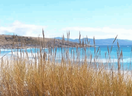 Four Mile Beach TAS Tourism Canberra