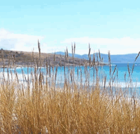 White Sands Estate - Tourism Canberra