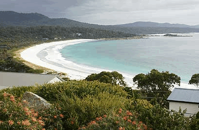 Bay Of Fires Character Cottage - Tourism Canberra 3