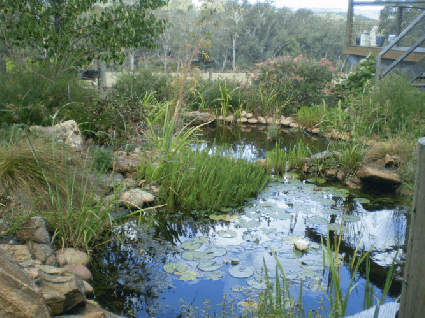 Crabapple Lane Bed & Breakfast - Tourism Canberra 2