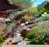 Chestnut Brook Cottage - Tourism Canberra
