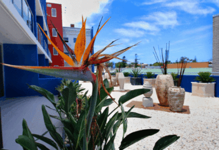 Mantra Quayside - thumb 4