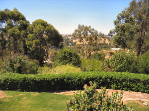 Ascot Holiday House - Tourism Canberra 2