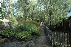 Evedon Park Bush Resort - Tourism Canberra 2