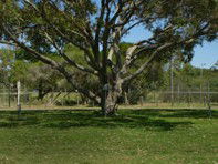 Hawks Nest Holiday Park - Tourism Canberra 3