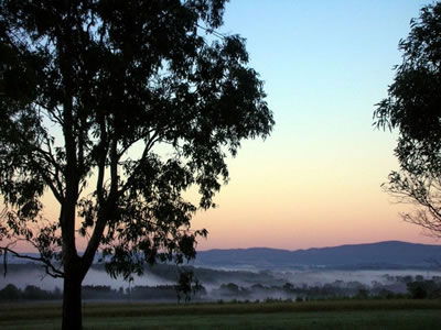 Bluebush Estate - Tourism Canberra 0