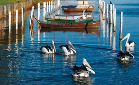 Windang Beach Tourist Park - Tourism Canberra 4