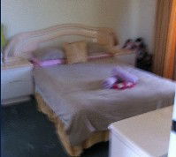 Lake Illawarra Bed & Breakfast - Tourism Canberra 2