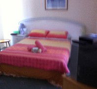 Lake Illawarra Bed & Breakfast - Tourism Canberra 4