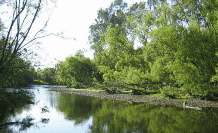 Ribbonwood Cottages - Tourism Canberra