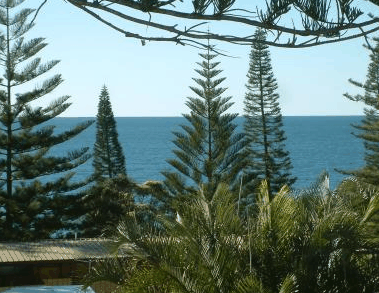 Next Seabreeze Beach Hotel - Tourism Canberra 2