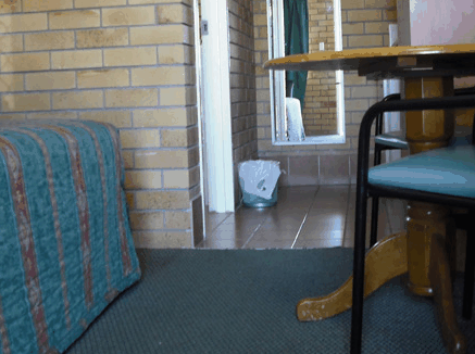 Dragon  Phoenix Motel - Tourism Canberra