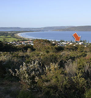 The Castlereagh 4 - Tourism Canberra 4
