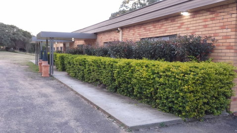 AA Hilldrop Motor Inn - Tourism Canberra 4