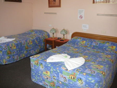 Civic Motel Grafton - Tourism Canberra 2
