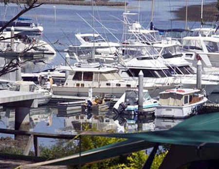 Soldiers Point Holiday Park - Tourism Canberra 3