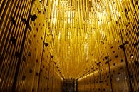 State Theatre Centre - Tourism Canberra 0