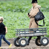 Perth City Farm Organic Markets - Tourism Canberra