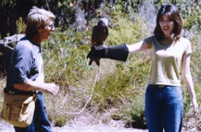 Eagles Heritage Raptor Wildlife Centre - Tourism Canberra 2