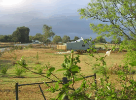 The House Of Honey - Tourism Canberra 2