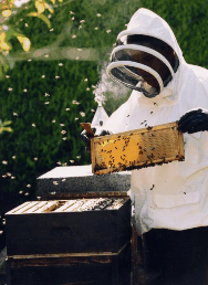 The House Of Honey - Tourism Canberra 3