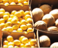 Brisbane Markets - Tourism Canberra