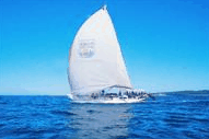 Manly Harbour Village - Tourism Canberra 0
