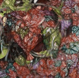 Jan Murphy Gallery - Tourism Canberra 3