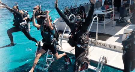 Snorkel Safari Brisbane - Tourism Canberra