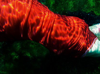 Dark Horse Experiment - Tourism Canberra 0