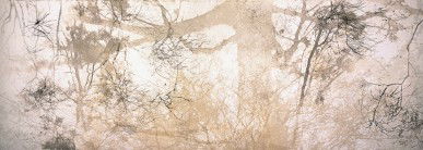 Dianne Tanzer Gallery & Projects - Tourism Canberra 3