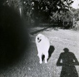 Fehily Contemporary - Tourism Canberra 2