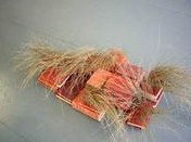 Brunswick Arts - Tourism Canberra 2