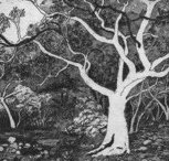 Tacit Contemporary Art - Tourism Canberra