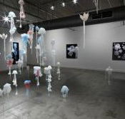 Nellie Castan Gallery - Tourism Canberra