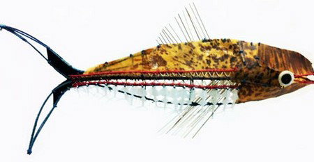 Vivien Anderson Gallery - Tourism Canberra 3