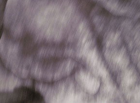 69 Smith Street - Tourism Canberra 1