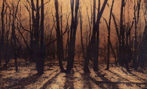 69 Smith Street - Tourism Canberra 2